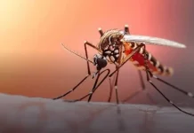 Cinco muertes por dengue en el Huila encienden las alarmas sanitarias
