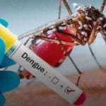 Neiva suma más de 1.300 casos de dengue en lo corrido del año